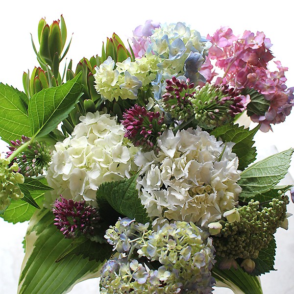 Hydrangea Bouquet